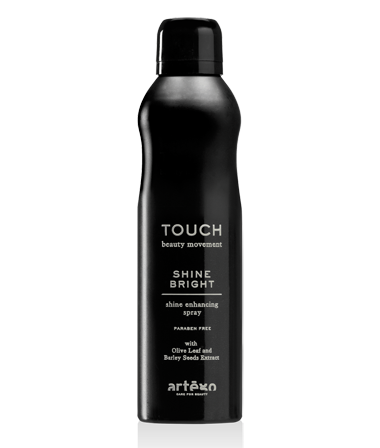 Suchý lak dodávající lesk Artégo 250 ml